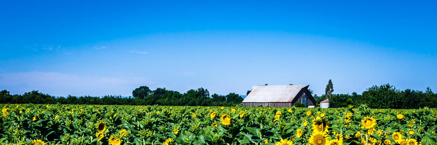 Banner image of Yolo County